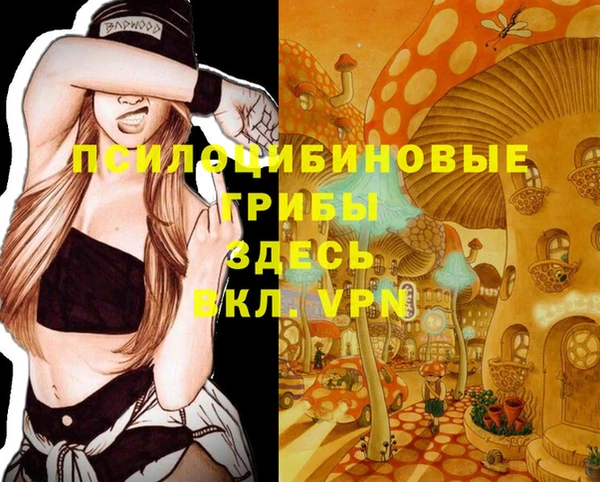 МДПВ Бугульма