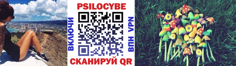 Галлюциногенные грибы MAGIC MUSHROOMS  KRAKEN сайт  Монино  где найти наркотики 